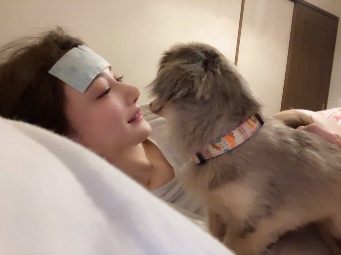 八蜜凜出道作品番號及封面，八蜜凜個人簡介