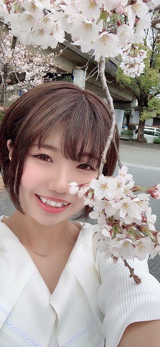 市川莉玖(市川りく)出道作品番號及封面,市川莉玖個人簡介