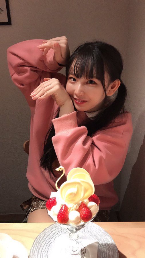 藤田梢(藤田こずえ)第一部專屬作品番號及封面，藤田梢個人簡介