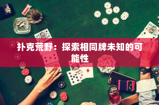 撲克荒野：探索相同牌未知的可能性