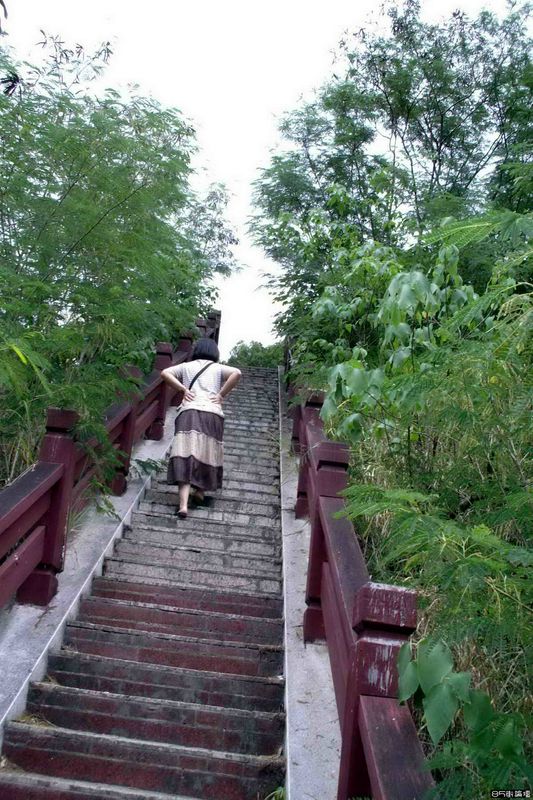 郊外大膽外拍 [20P]