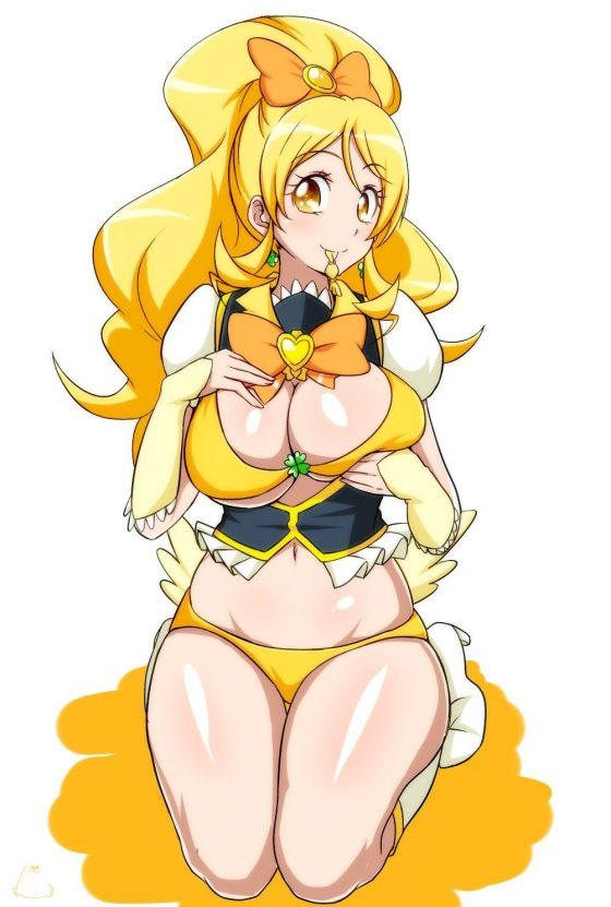 プリキュア 二次元エロ画像 【53】