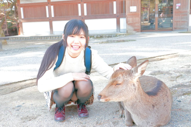 旅行 記念写真 パンチラ エロ画像 【28】