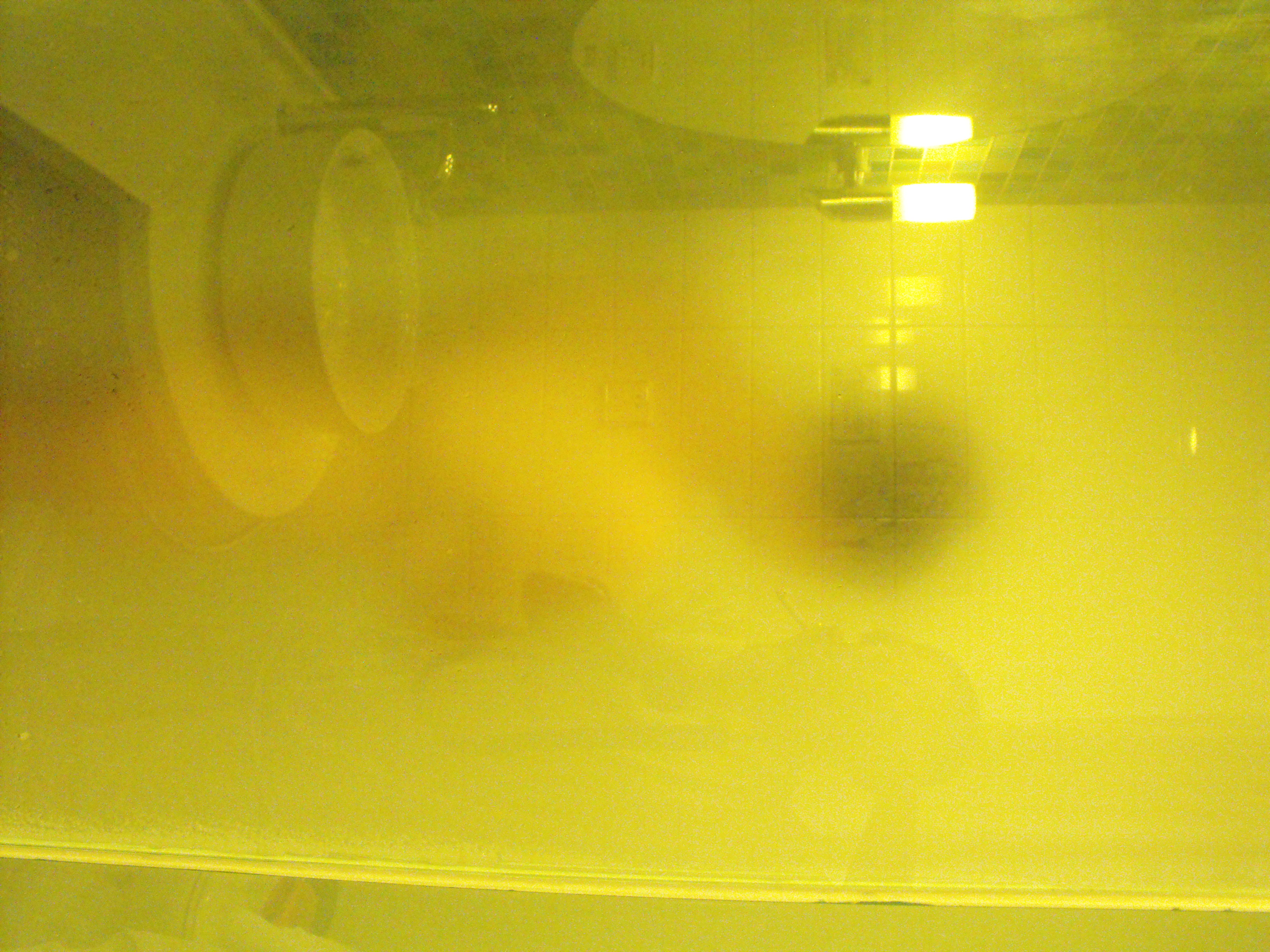 有點微微發胖的女人[29P]