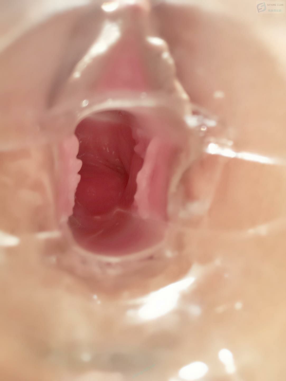 鴨嘴擴陰器讓你看明白[25P]