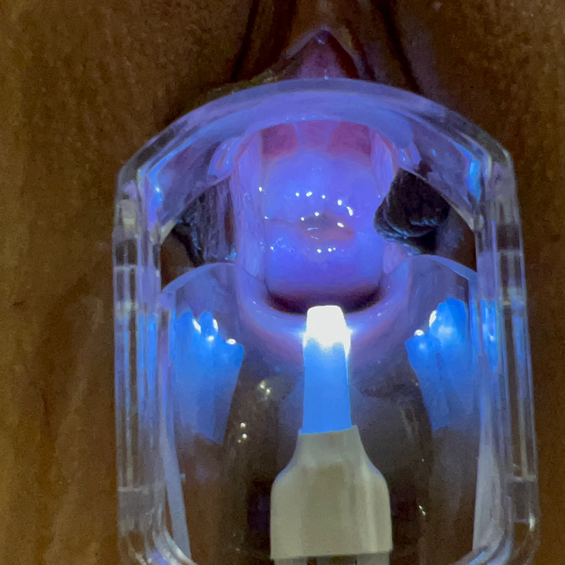 [原创]023欲求不滿7小姐強制高潮，肥臀肉穴內窺鏡[11P]