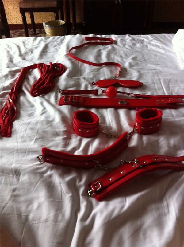 成功調教小母狗[10P]