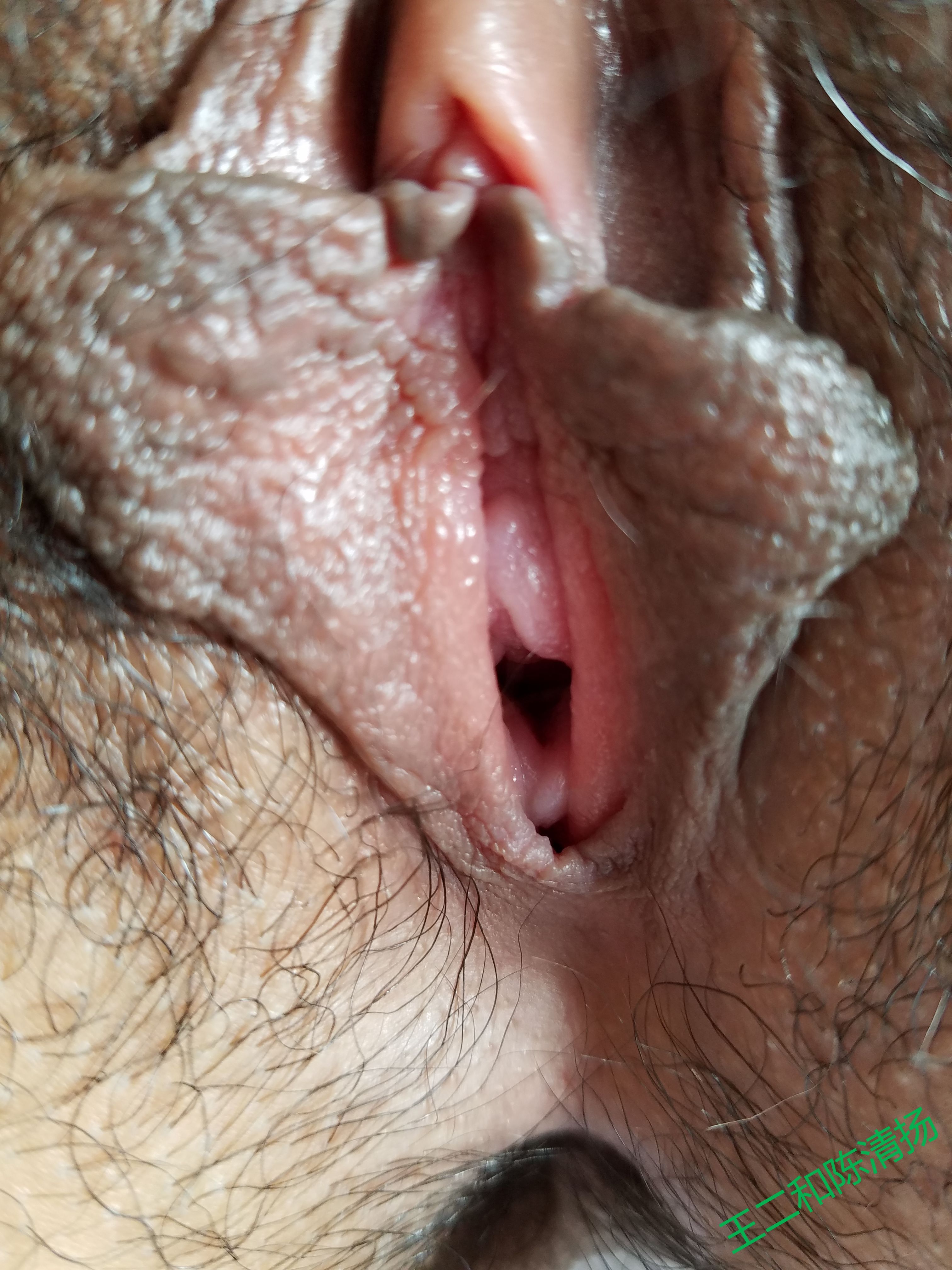 [原创]有手勢驗證，多圖預警！純欲反差婊老婆是個多毛小騷逼[74P]