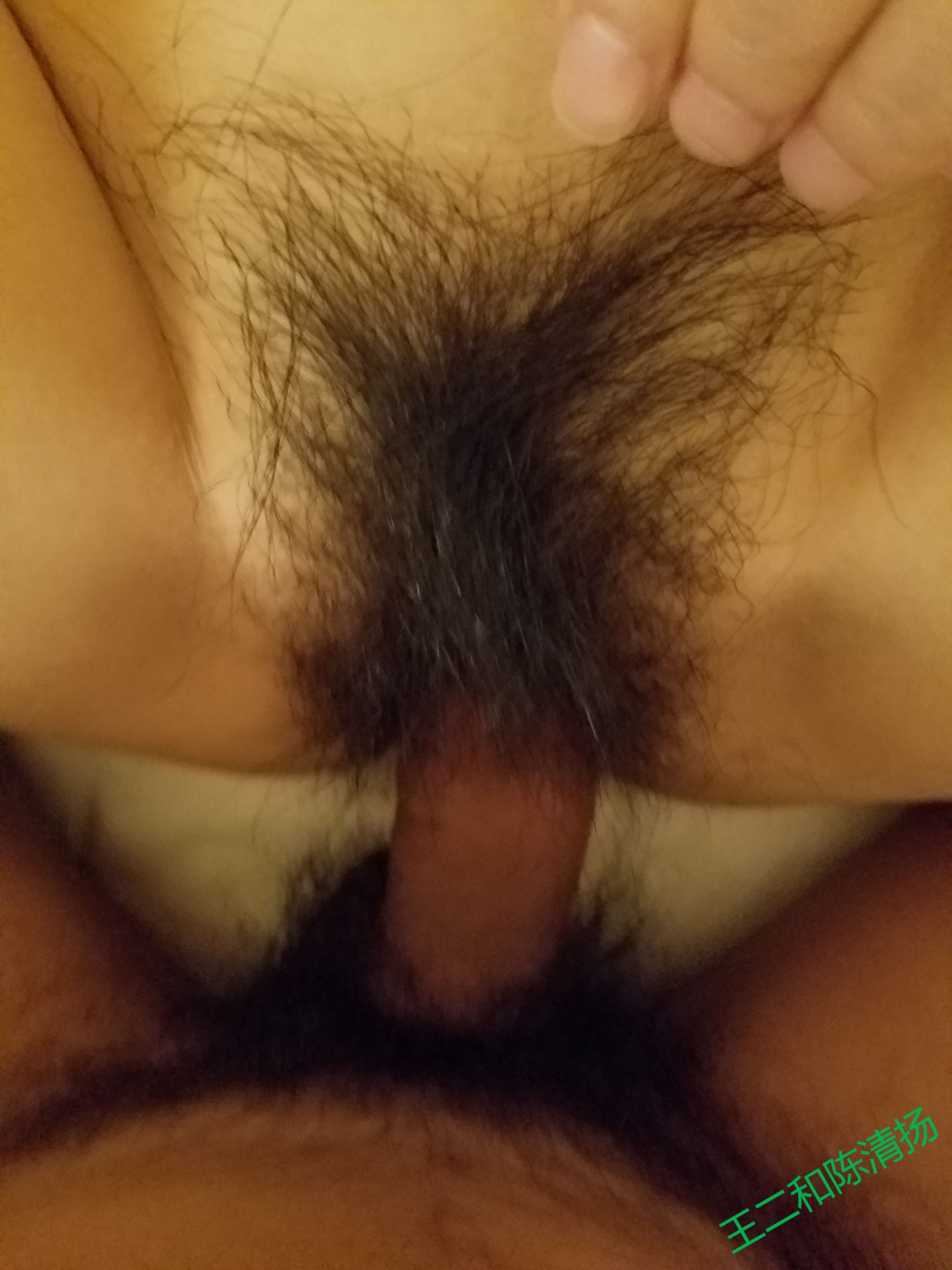 [原创]有手勢驗證，多圖預警！純欲反差婊老婆是個多毛小騷逼[74P]