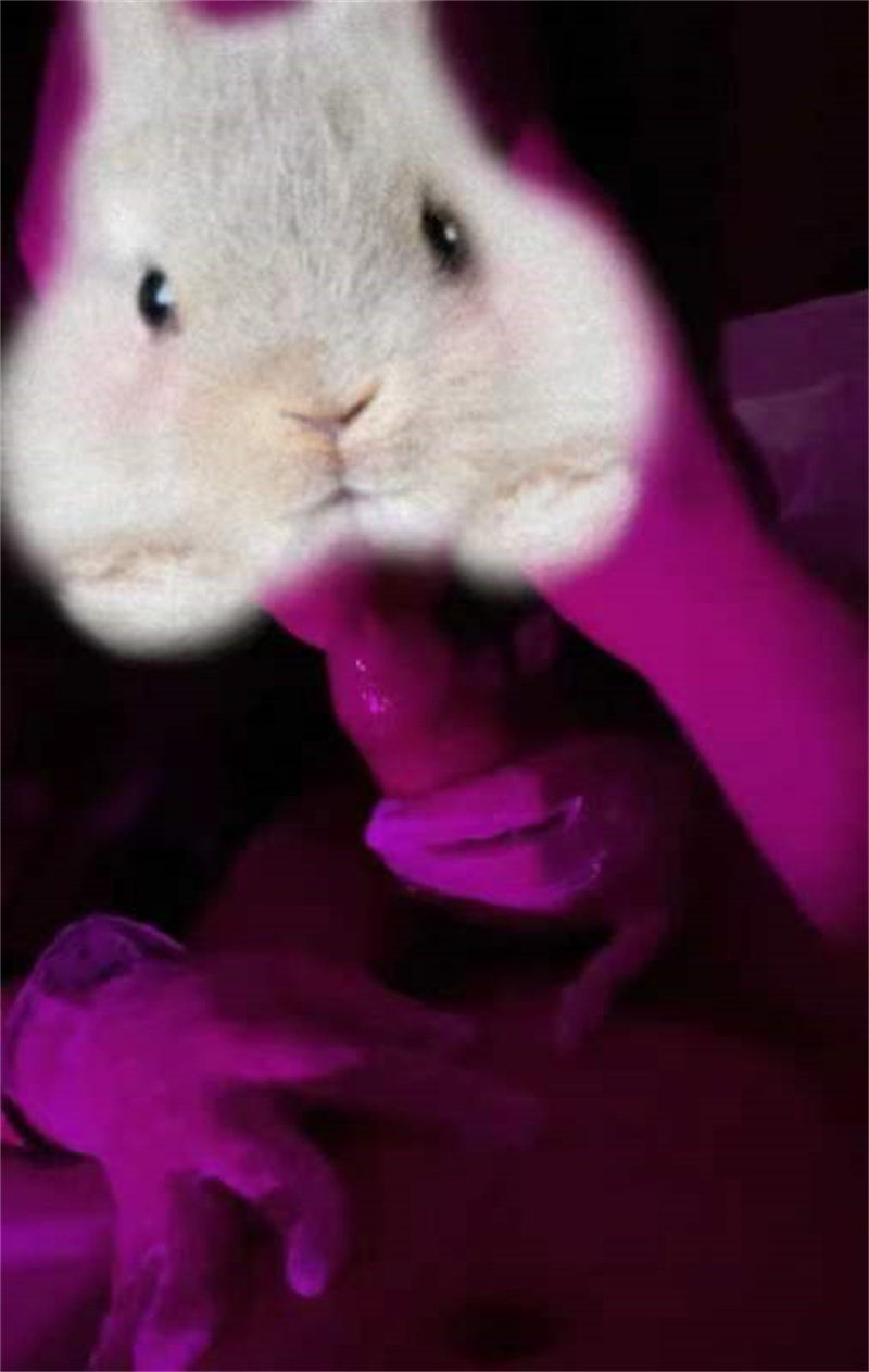 [旧叙原创]騷貨母狗自己要求發文給各位哥哥看喜歡看評論想看看自己的騷哥哥們喜歡嗎手寫驗證 [20P]