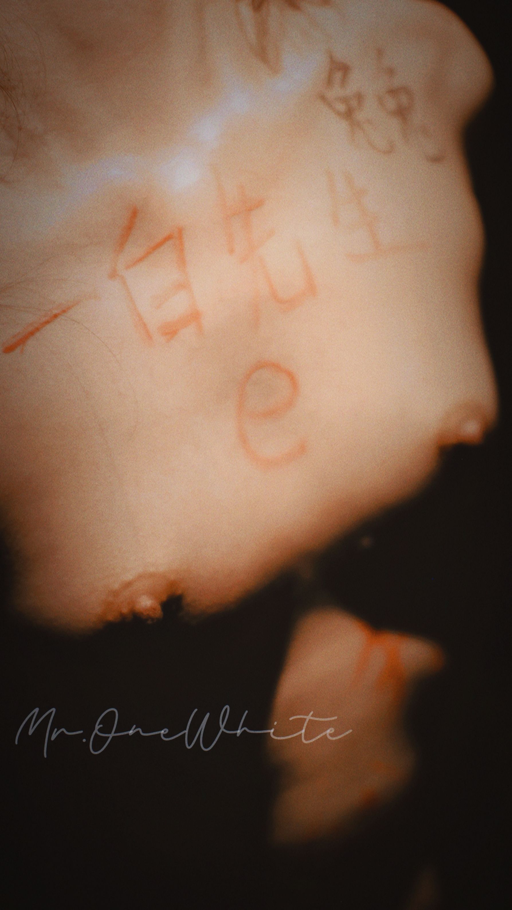 [原创][一白先生 原创SM调教]兔兔の女教師玩具化計畫慢慢喪失人格的母狗開發第一季 [17P 身体手写认证] ]