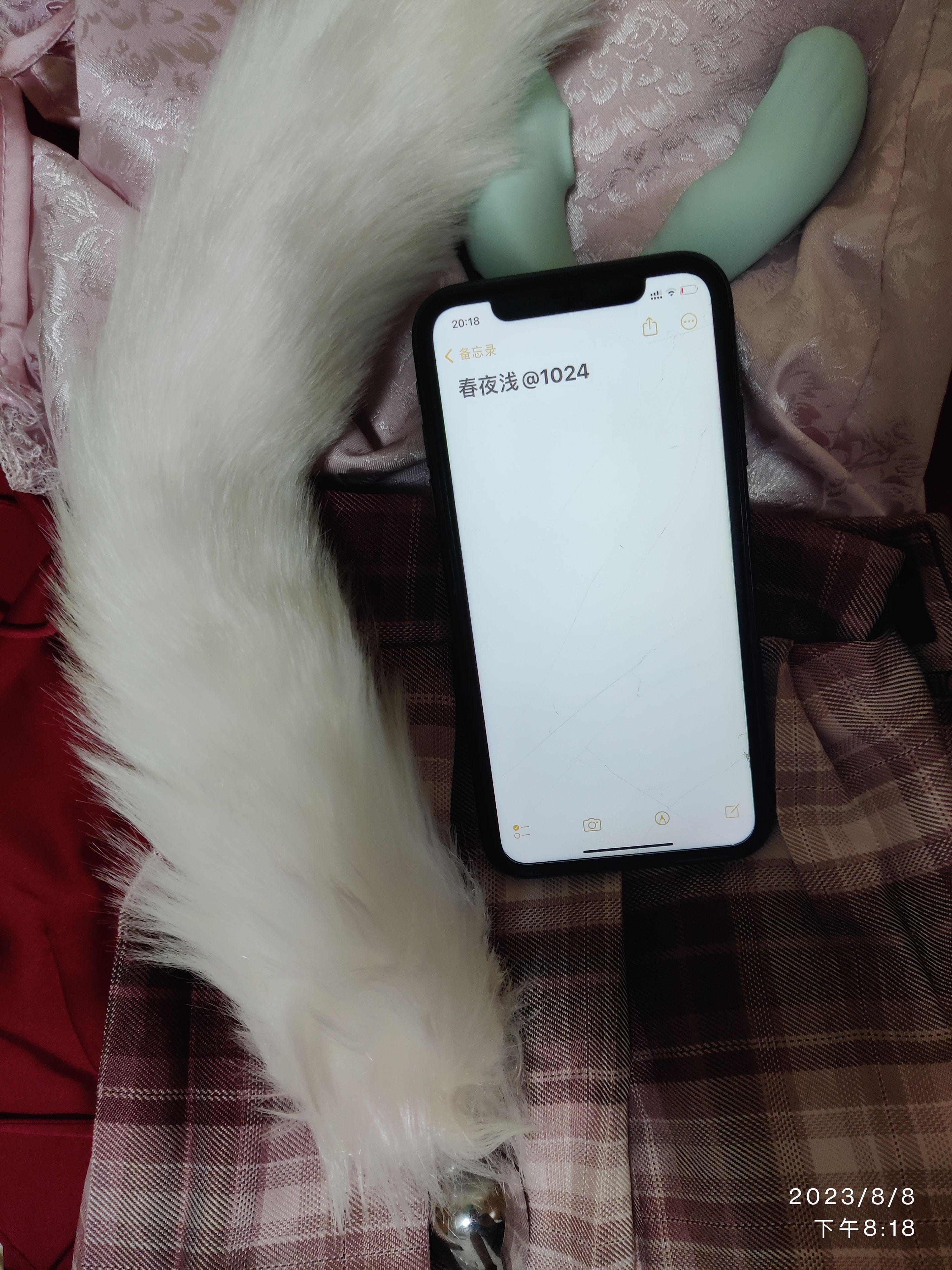 [原创]第四貼-ID認證；戴尾巴的小狐狸。愛你的人為了讓你開心，會滿足你想要的所有[31P]