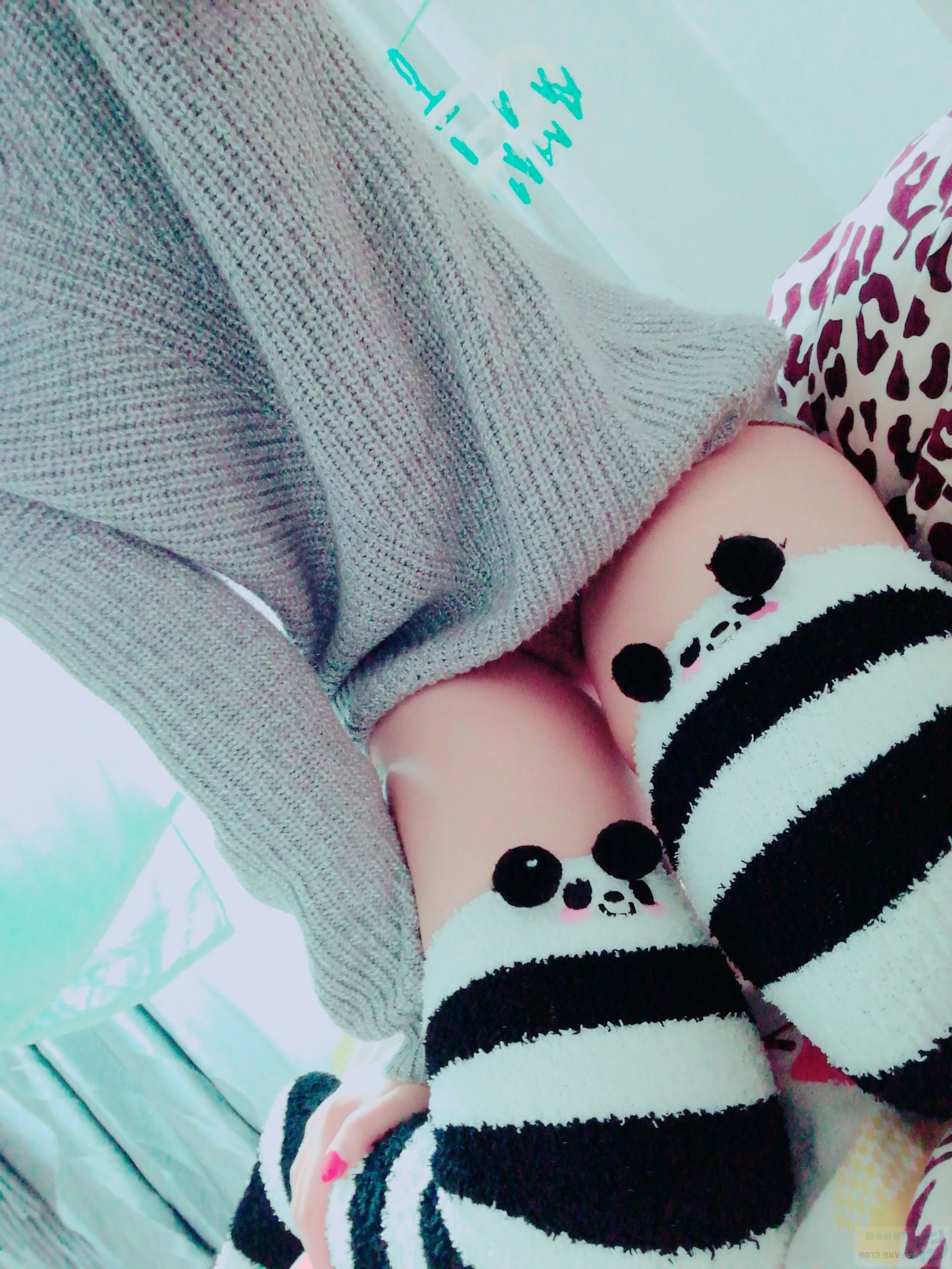 可愛的小熊貓[20P]