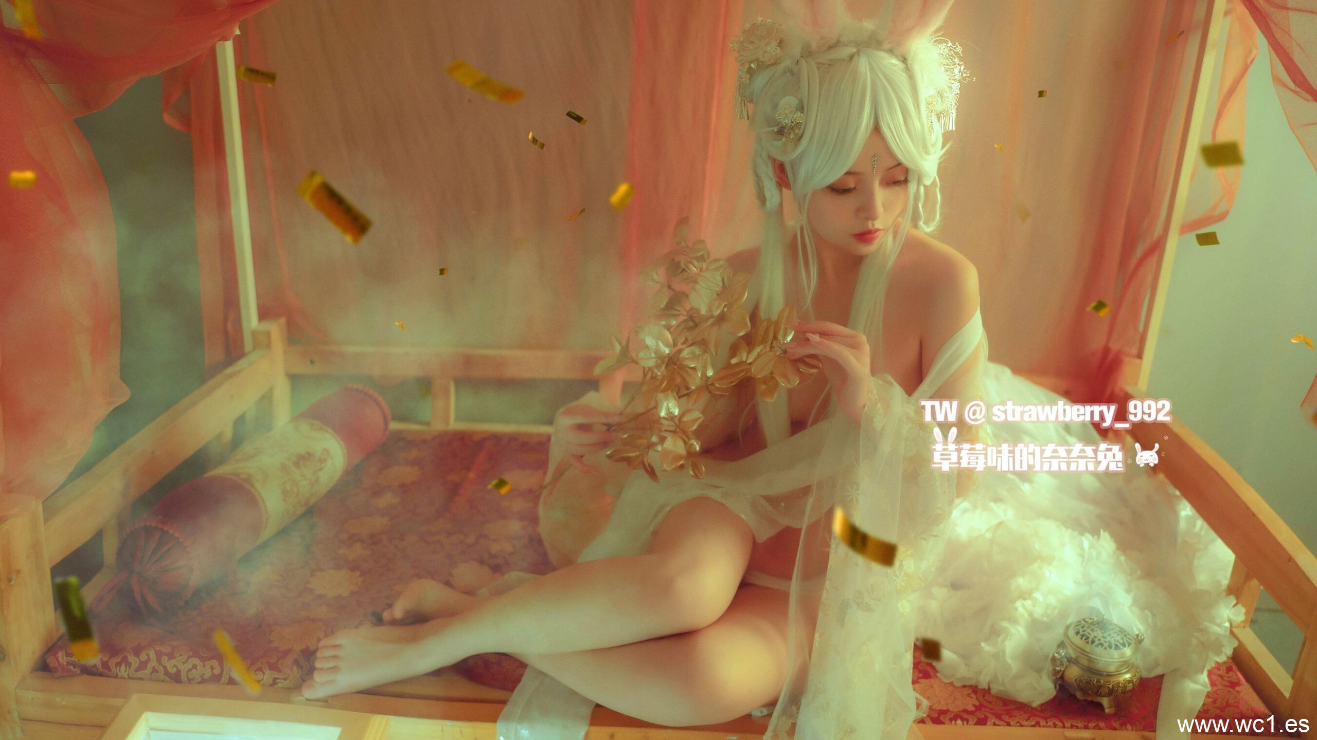 草莓味的奈奈兔《幻》