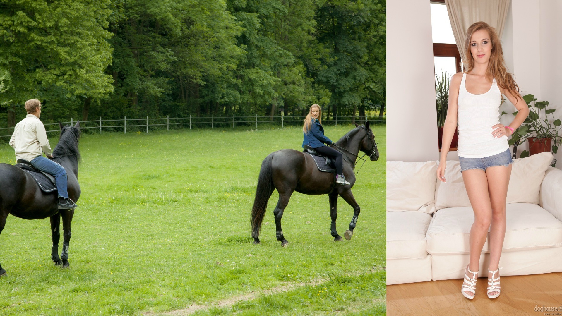 汗血寶馬熱戀交歡