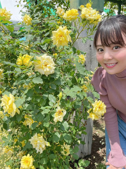 氣質出眾！  D罩杯療癒系大姊姊「岡田雛乃」出道想增加自信與色氣！