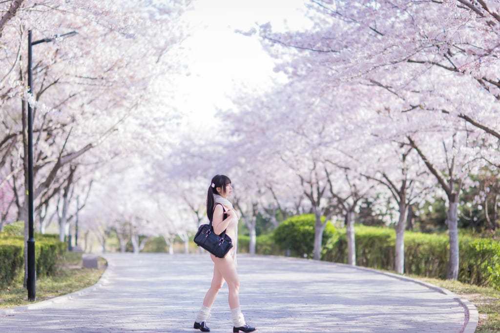 六味帝皇醬 - 櫻花