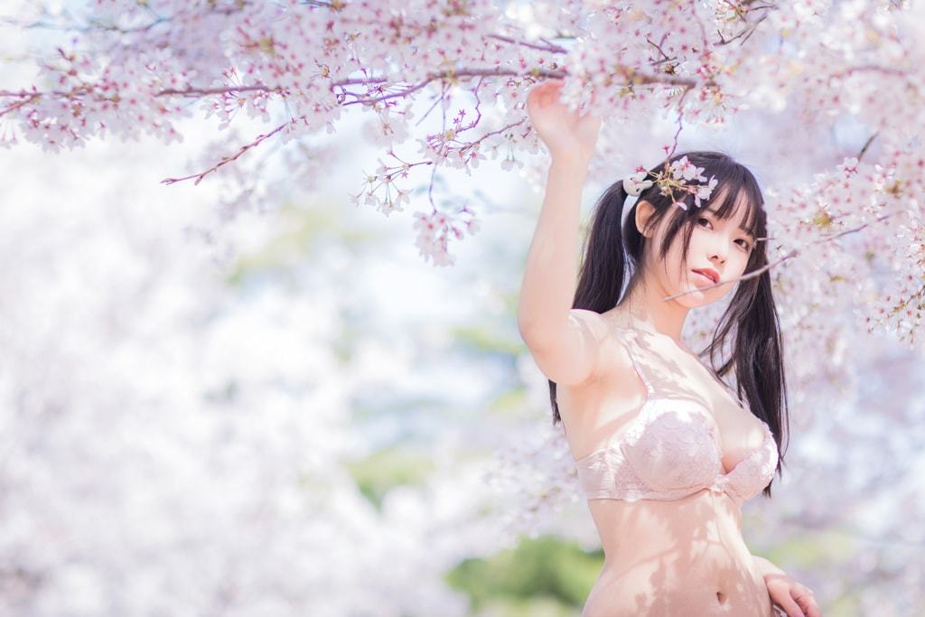 六味帝皇醬 - 櫻花