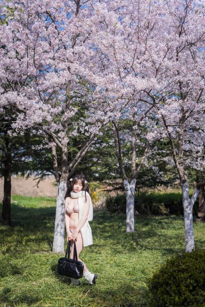 六味帝皇醬 - 櫻花