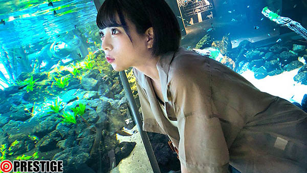 隱藏版新鮮素人！ 嬌小體型短髮美少女「如月瀬奈」出道！