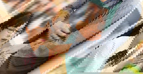 在書店看色書的資優生「久留木玲」，用胯下誘惑「向我索取肉體」...