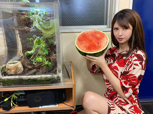 超性感小心機自拍照！ H罩杯火辣美女新人「綠川雅」推特福利中路大開還外洩裙底…