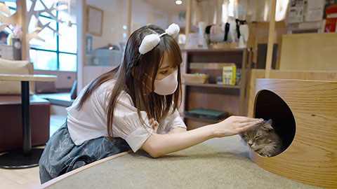 解密！無碼賣家限定發售的F杯美乳美體大學生竟是有碼界性愛天才！ . ...