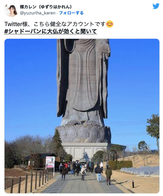 突破twitter封鎖！來看女優們的大佛普拉斯！