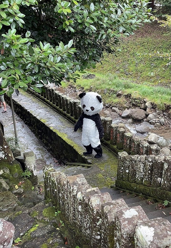 咒術迴戰變痴術回戰!虎仗悠仁搞了釘崎野薔薇!