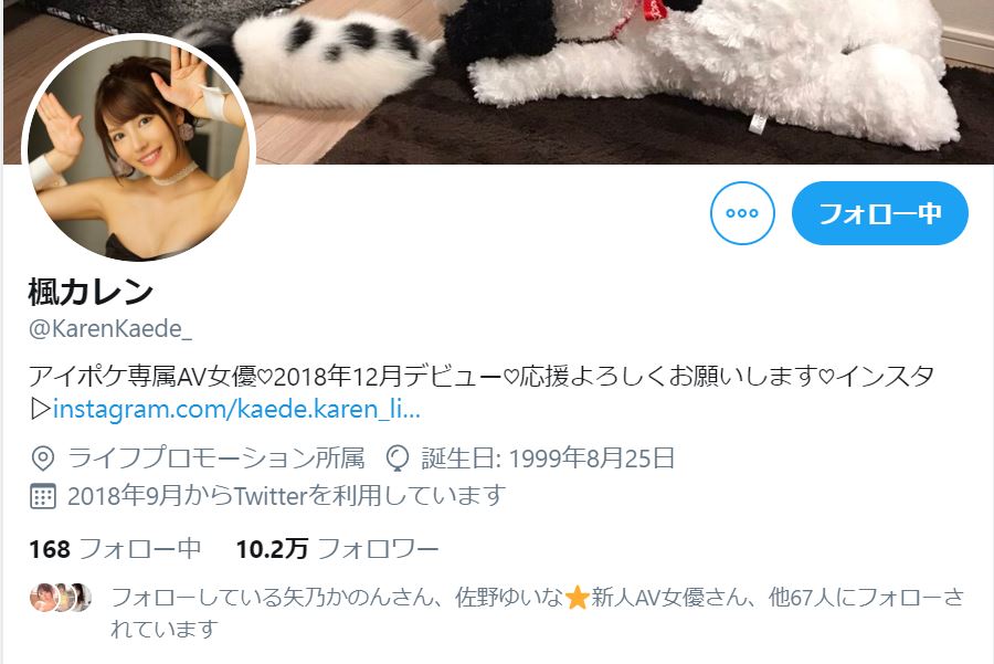 國色天香級！ IP專屬女優「楓花戀」推特超過十萬追蹤、呆萌出槌讓粉絲陶醉！