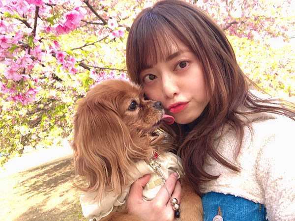 告別16年生涯！ 「吉澤明步」引退後出自傳自爆這「4 大題材」絕對不拍